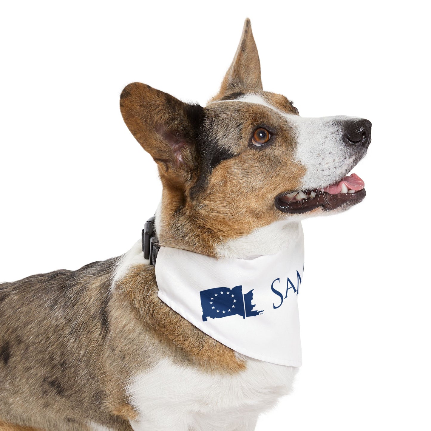 Pet Bandana Collar