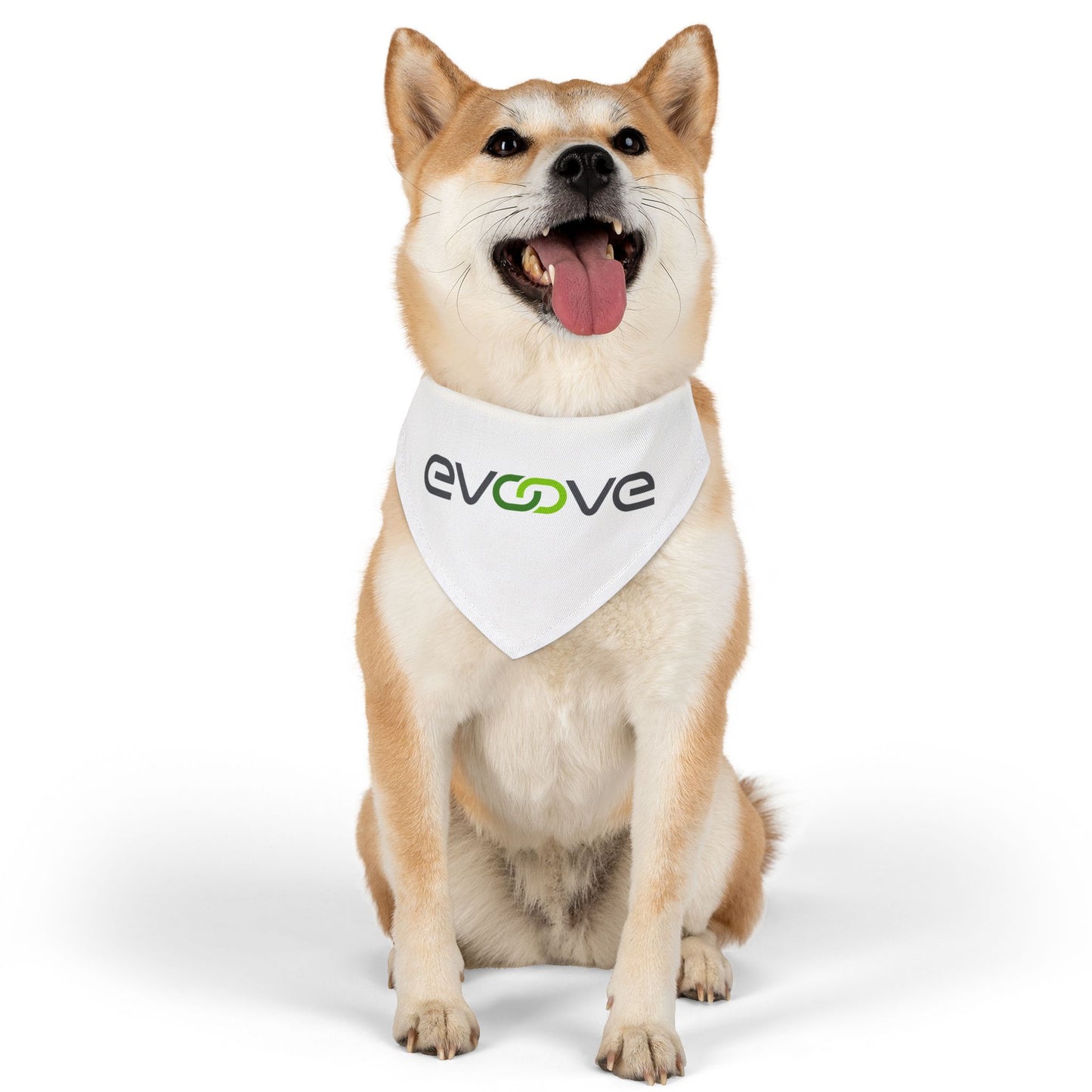 Pet Bandana Collar - Evoove
