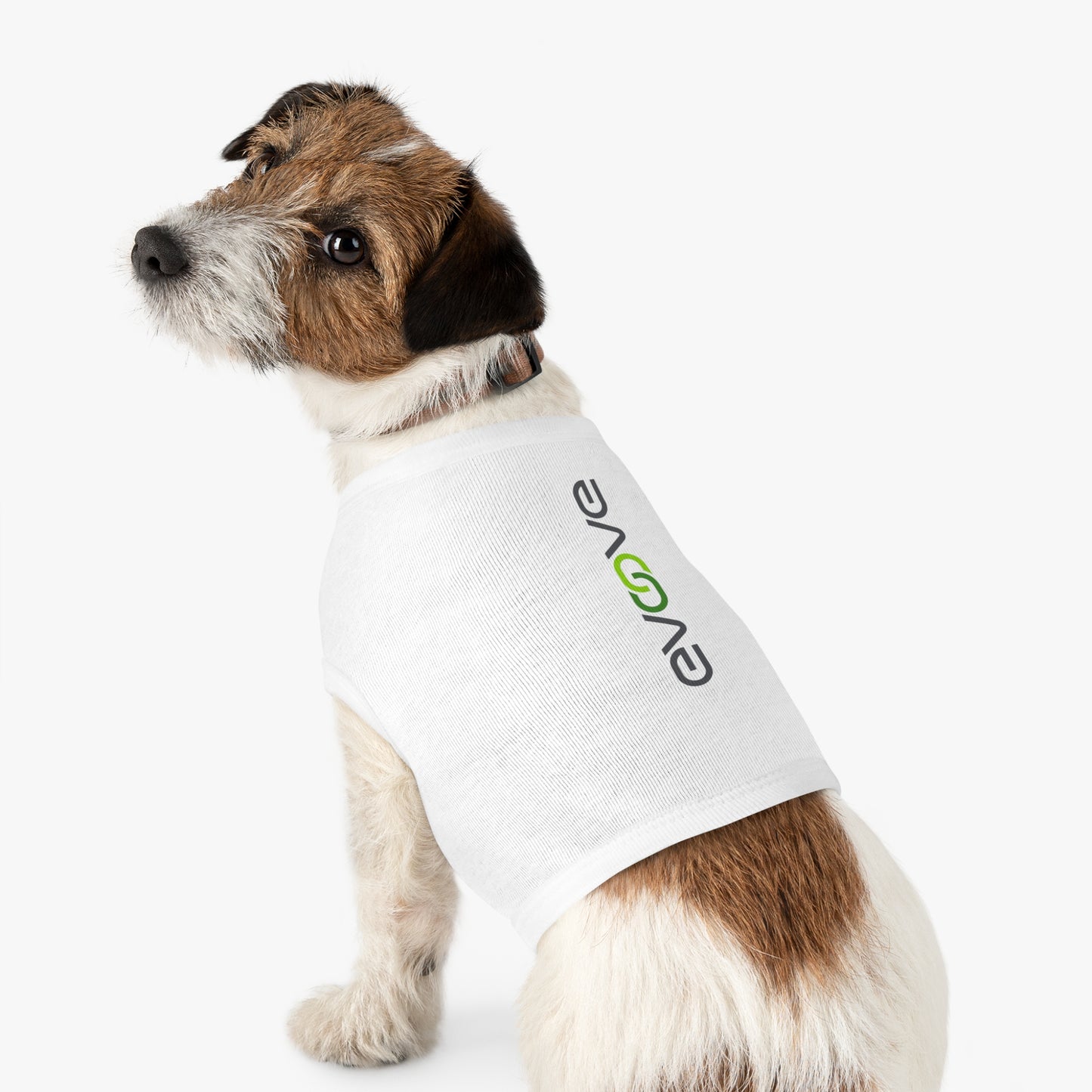 Pet Tank Top - Evoove