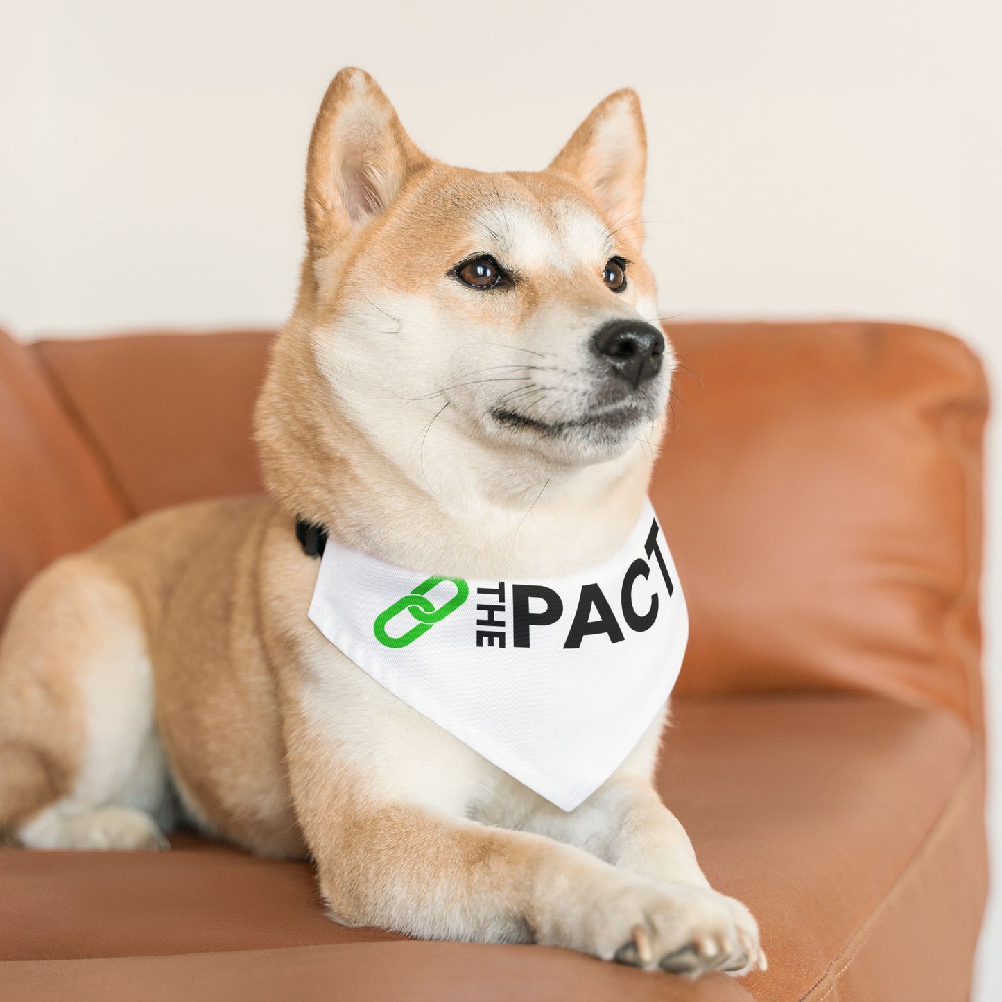 Pet Bandana Collar - The PACT