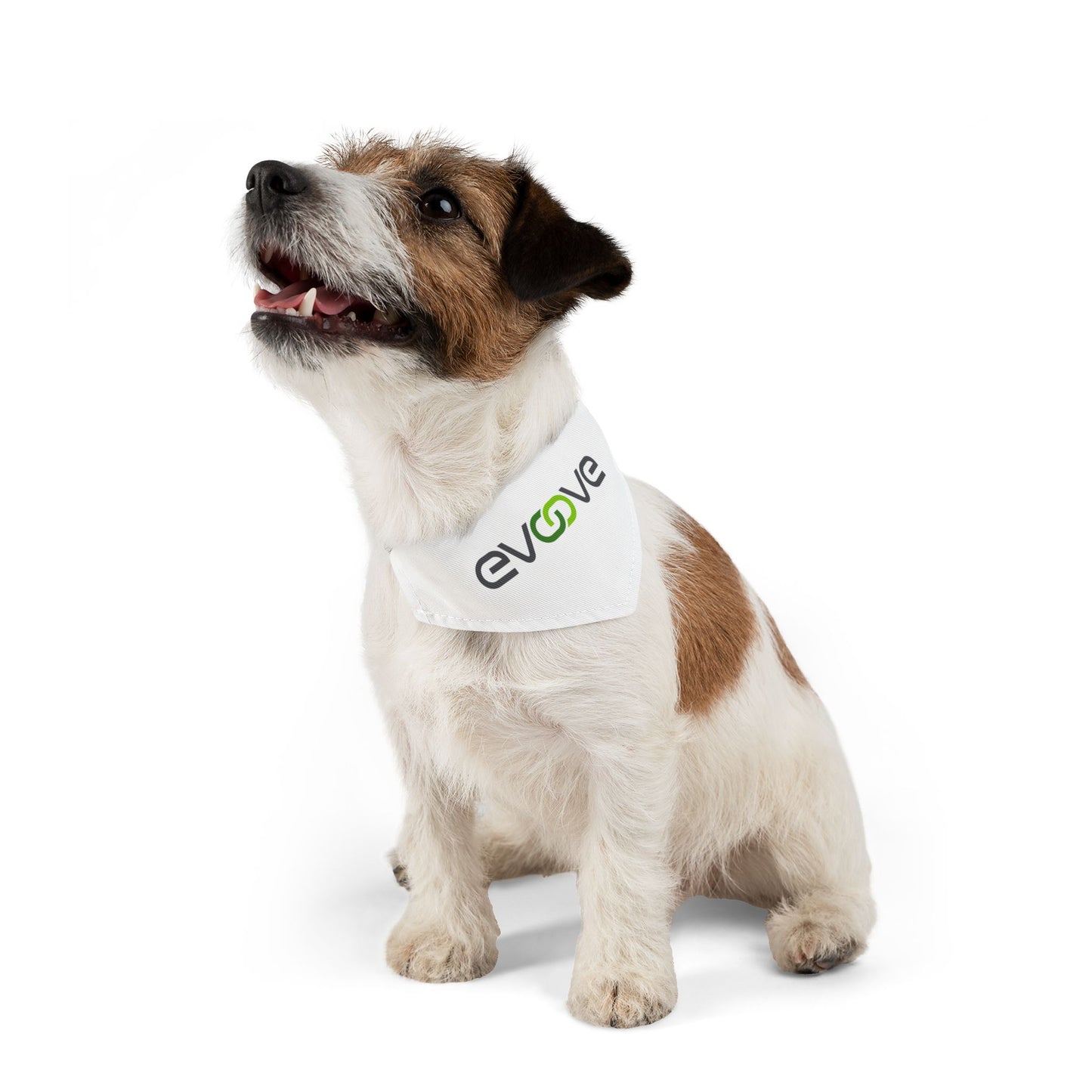 Pet Bandana Collar - Evoove