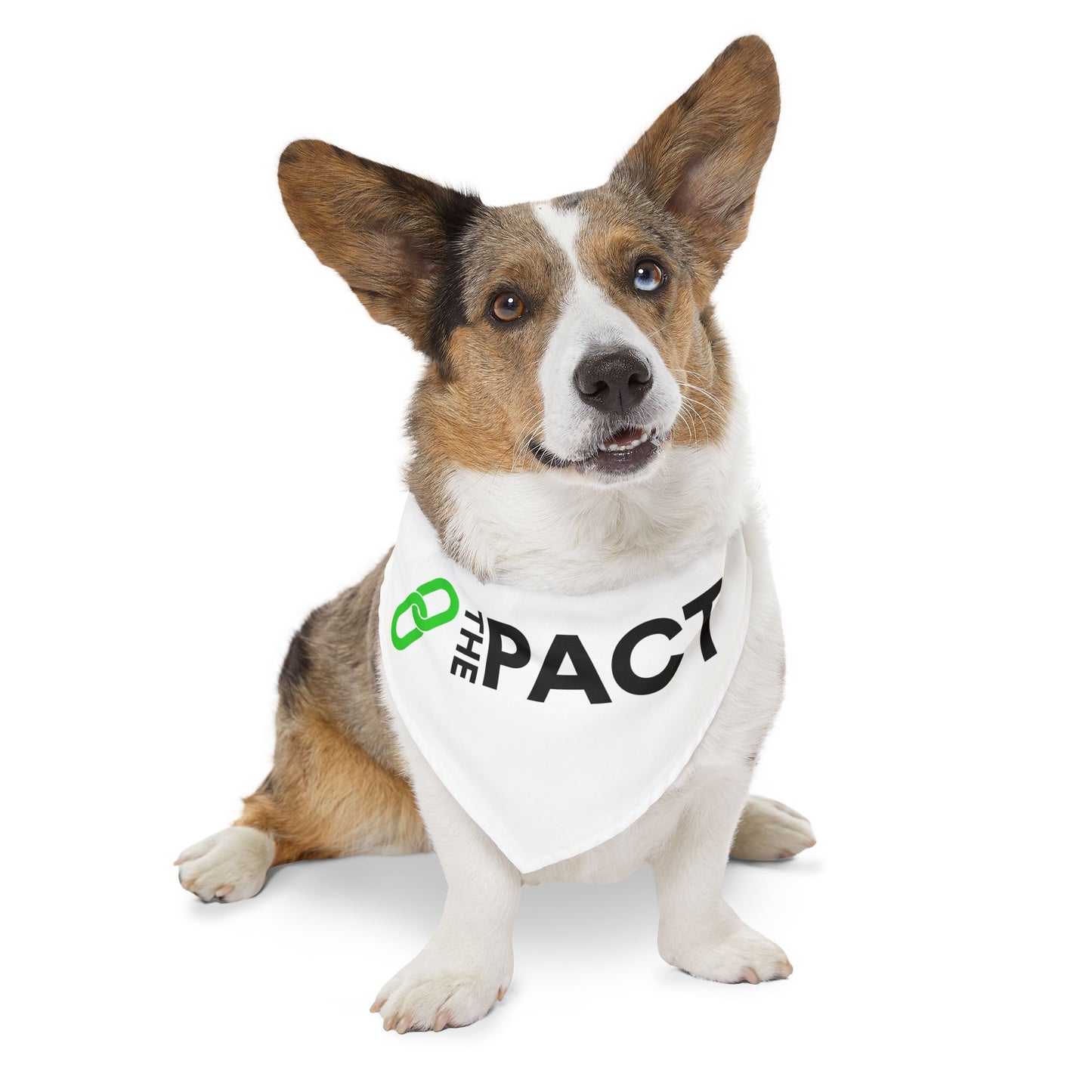 Pet Bandana Collar - The PACT