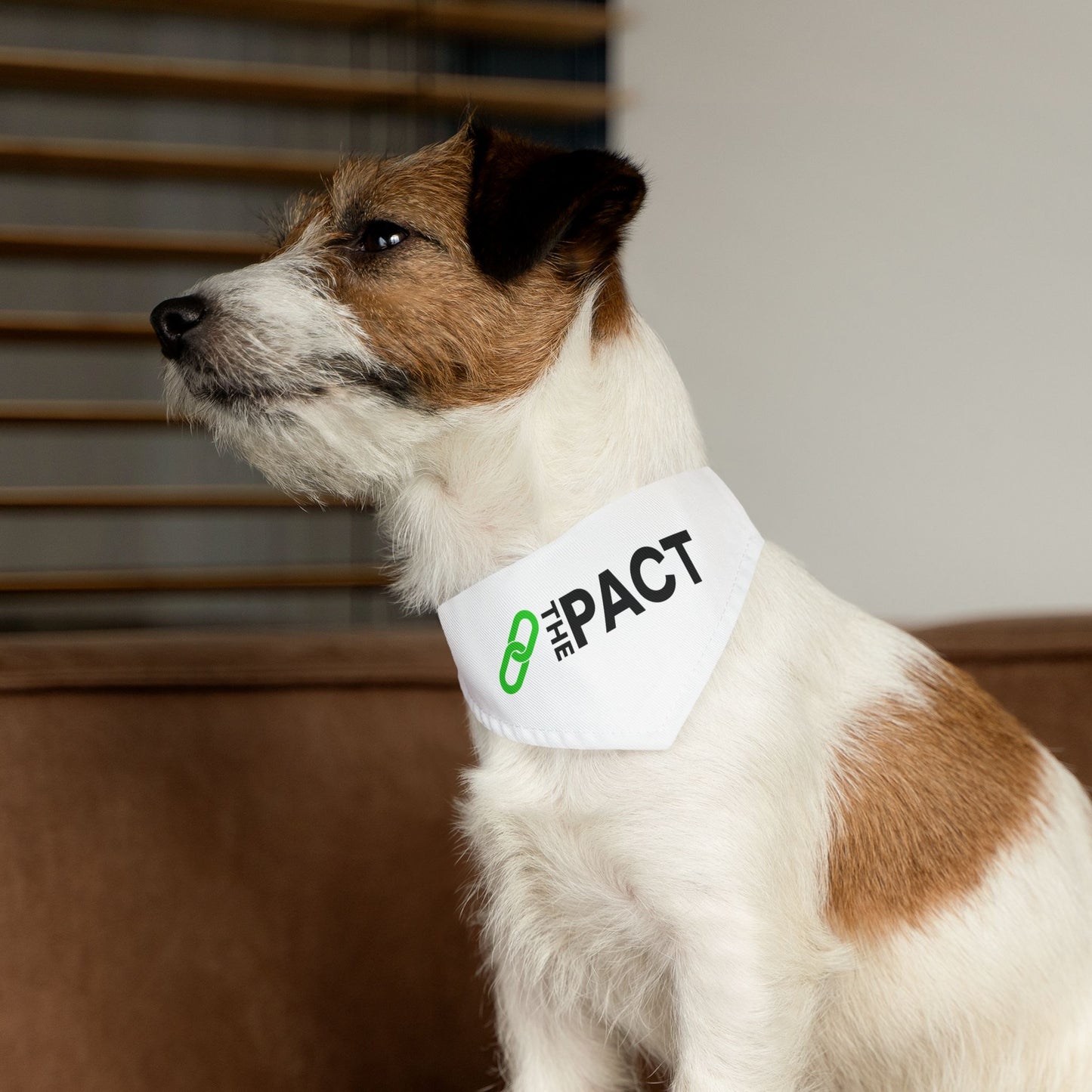 Pet Bandana Collar - The PACT