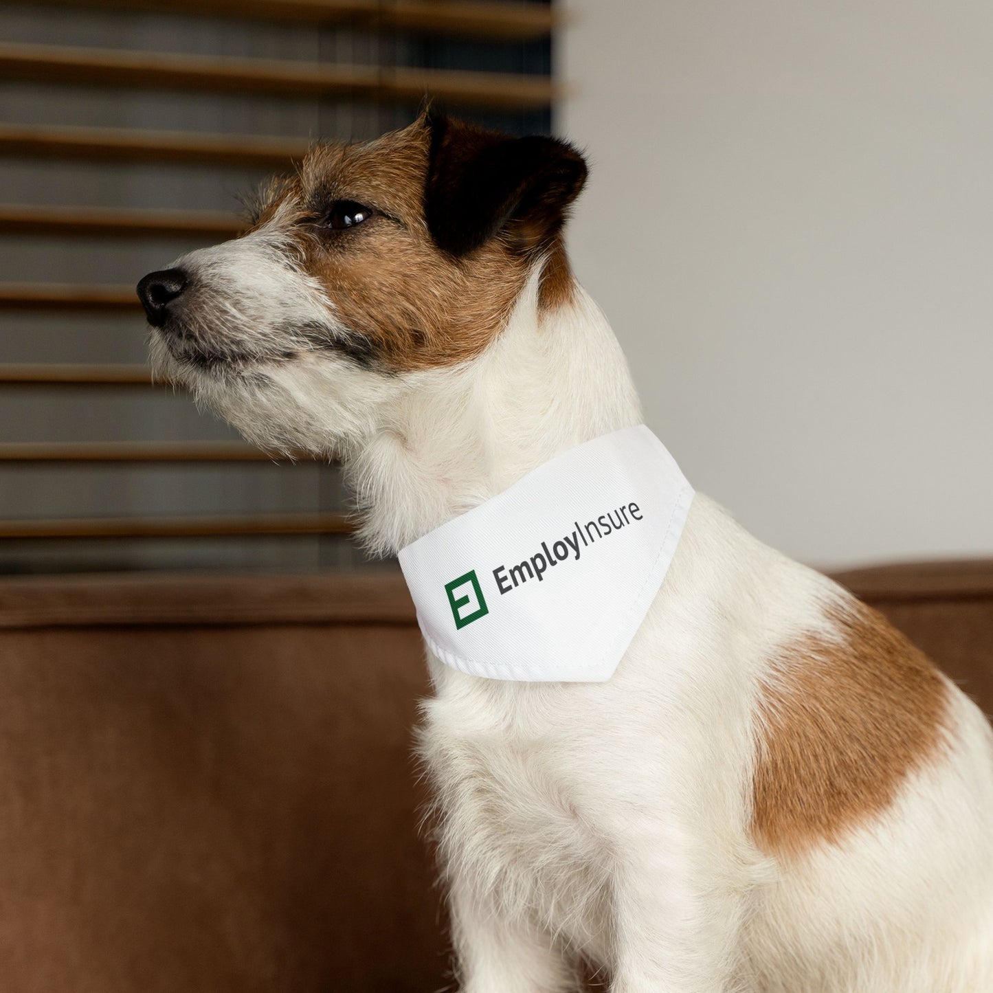 Pet Bandana Collar - EmployInsure