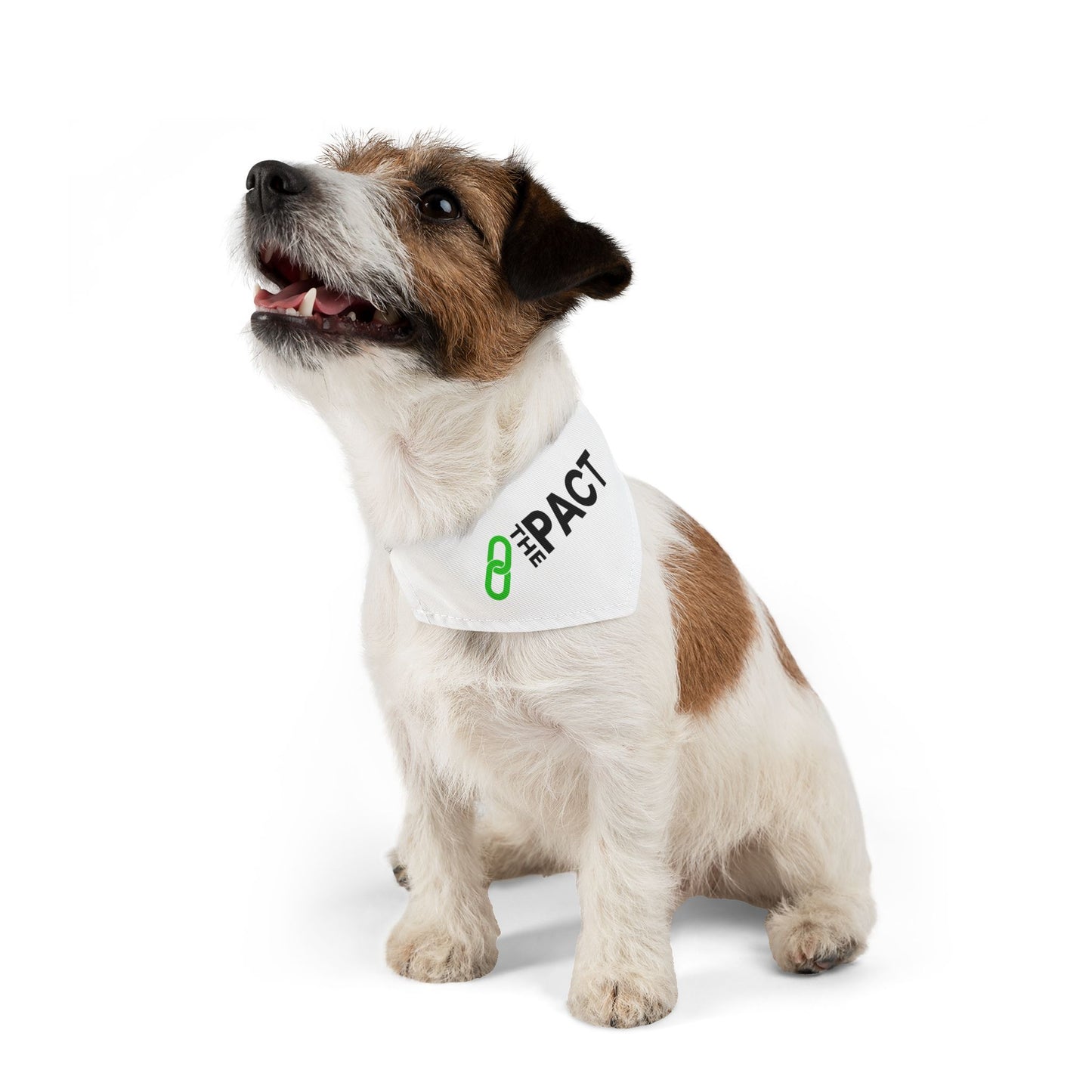 Pet Bandana Collar - The PACT