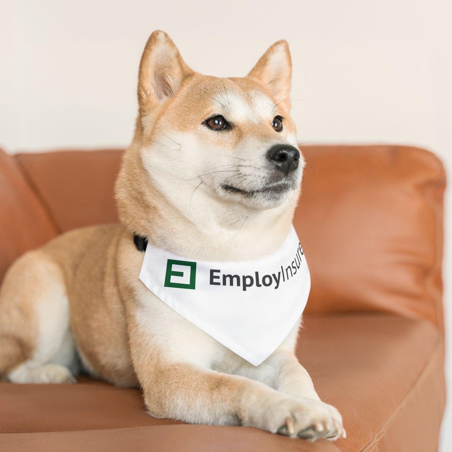 Pet Bandana Collar - EmployInsure