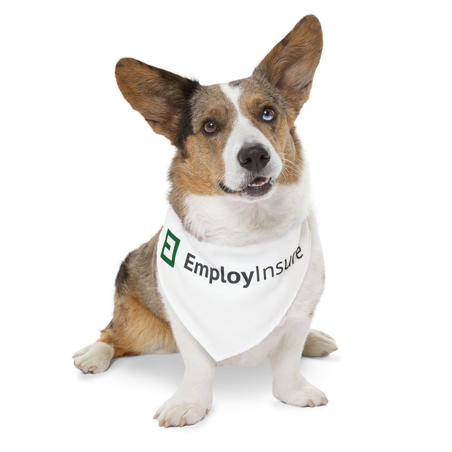 Pet Bandana Collar - EmployInsure