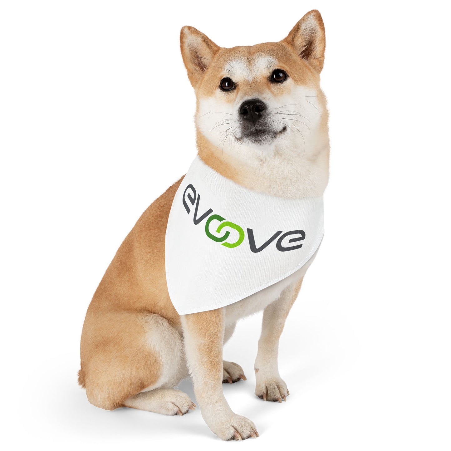 Pet Bandana Collar - Evoove